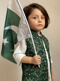 Green Embroidered Waistcoat Suit - V14
