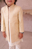 Cream Open shervani - S22