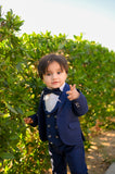 5pcs Blue suit (Coat+Waistcoat+Pant+Shirt+Bow) - CPS 002